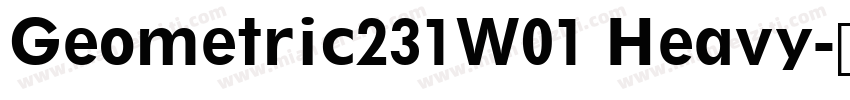 Geometric231W01 Heavy字体转换
